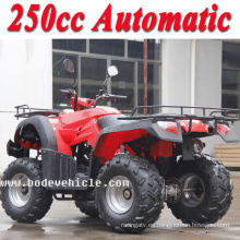 Nuevo 250cc Bode automático ATV bici del patio (MC-356)